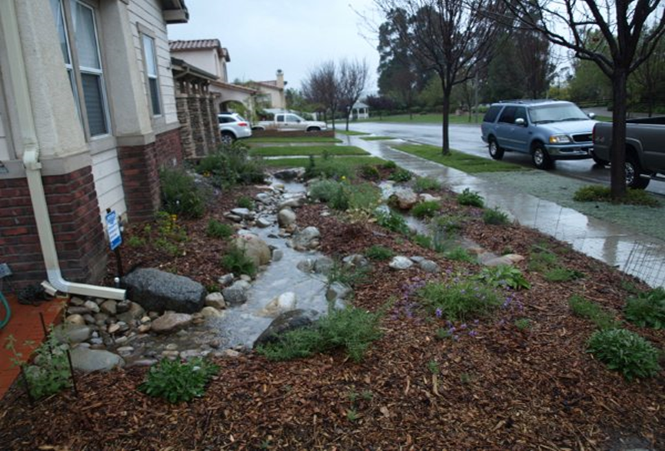 Ocean friendly garden in front yard of home